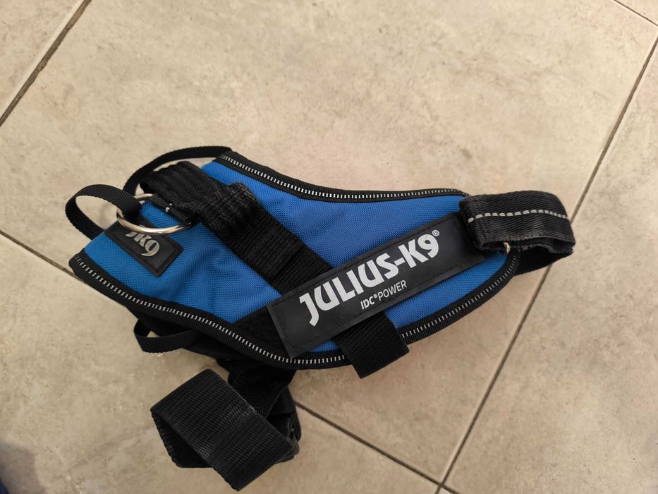 Дъждобран и нагръдник за куче