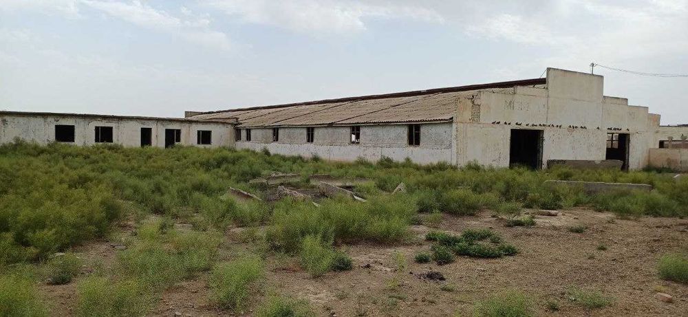 Noturar bino sotiladi