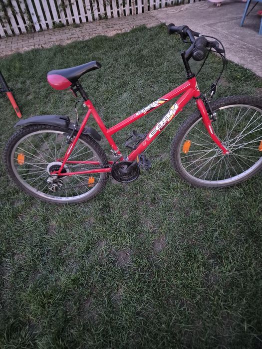 Bicicleta Copii si Adulti