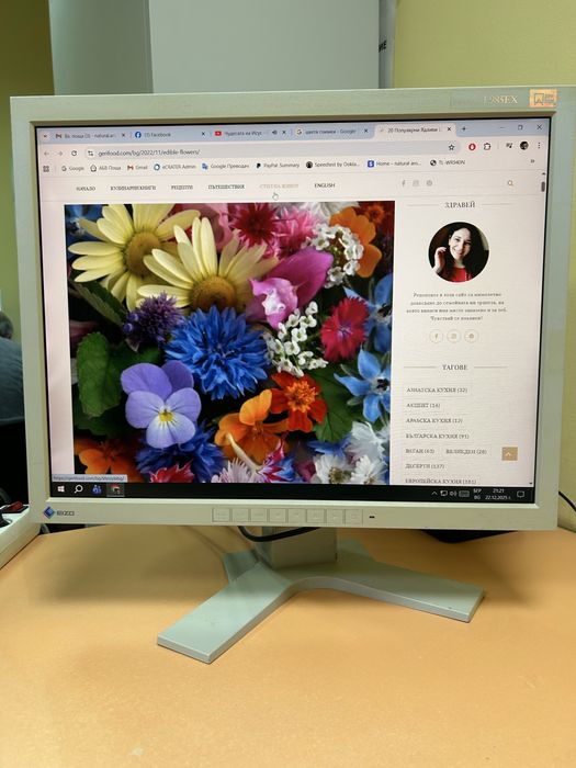 Промоция Монитор EIZO FlexScan L985EX 21,3 inch