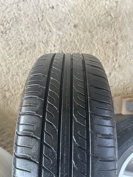 Торусууууууууууууу