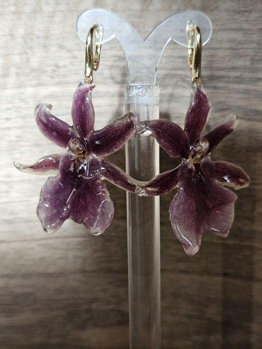 Обеци с естествен цвят на мини орхидея Miltonia.