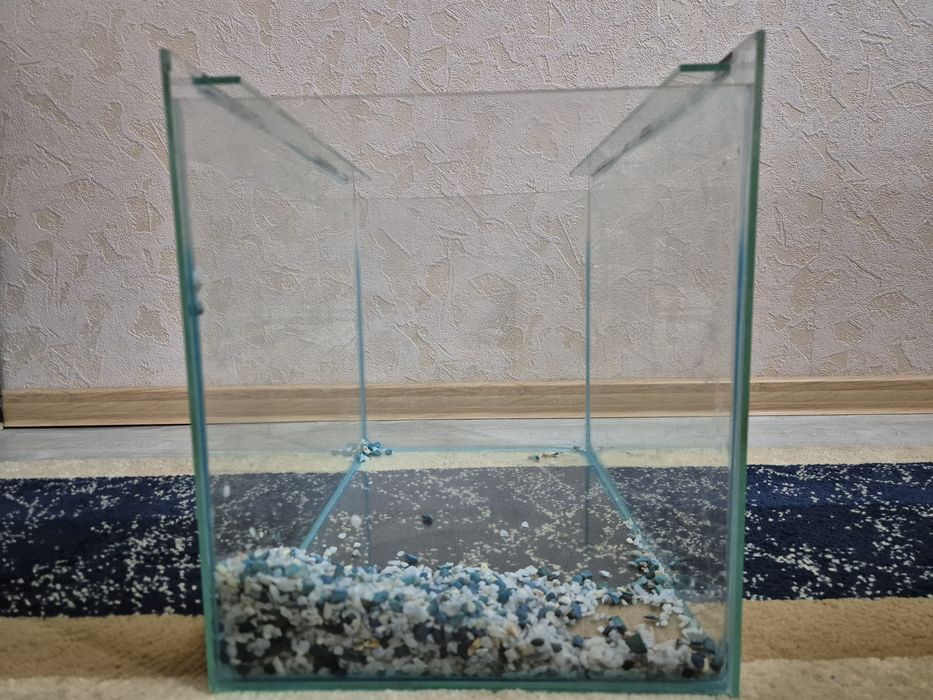 Аквариум для рыб.