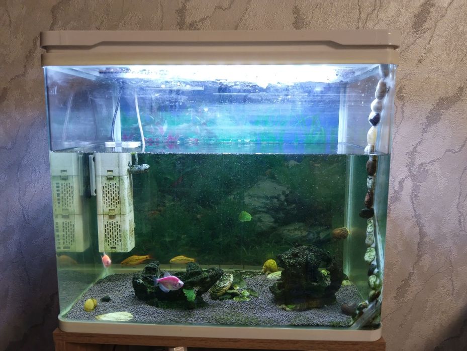 Продам аквариум 60 литров (50-30-40)