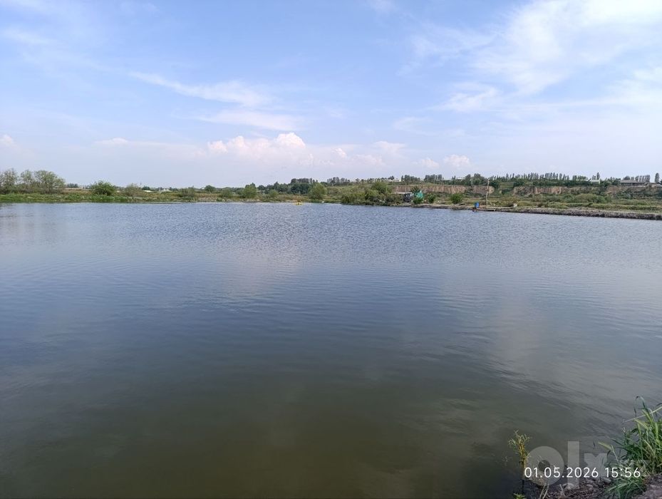 Готовый рыбпром на берегу реки на Ташморе