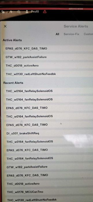 Service diagnoza Tesla