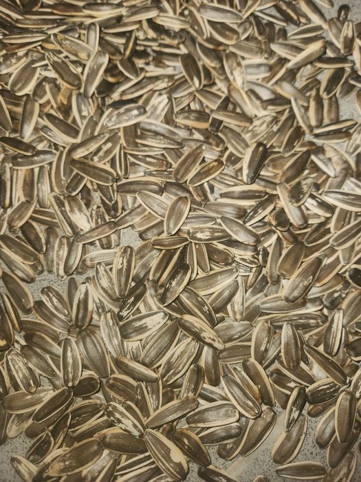 Семечки не обжаренные