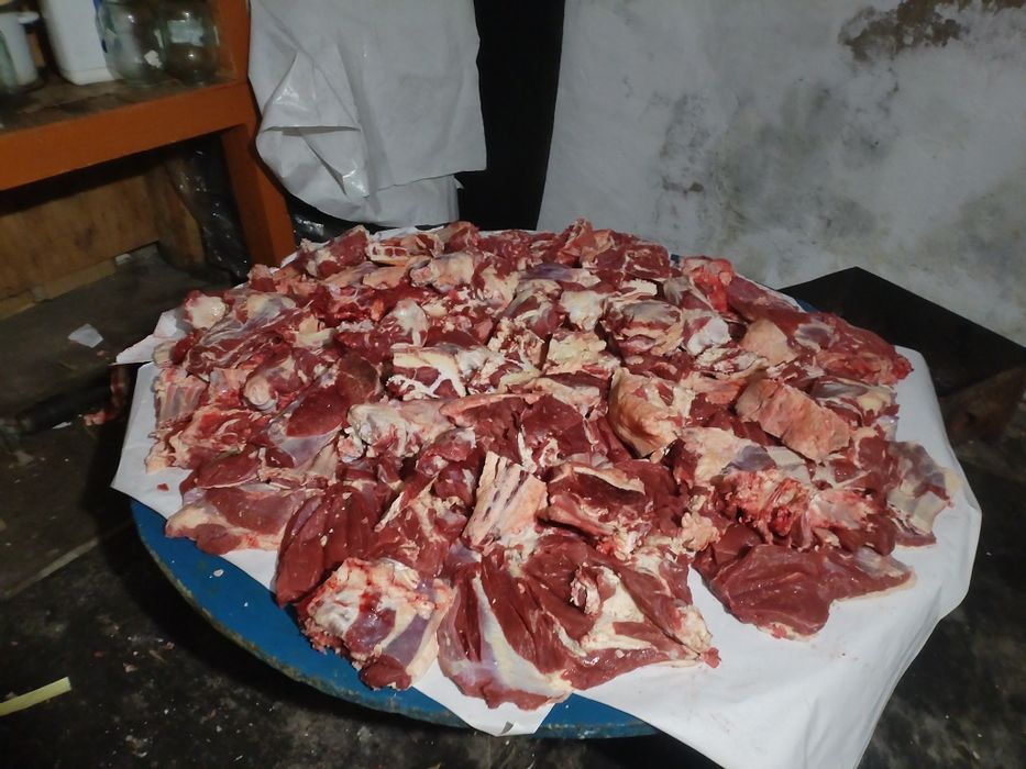 Мал соям бұзып берем