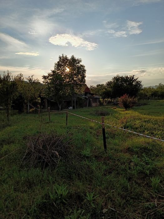 Dau in chirie teren intrav cluj n-  Sopor 1750mp