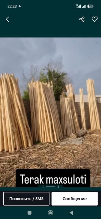 Терак булорлар сотилади