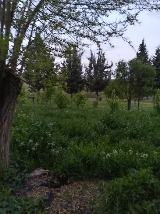 Дом с земельным участком