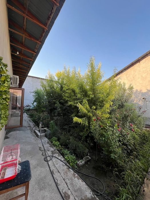 Yarmirkadan Korzinkadan 8 km uzoqlikda 3.7 sotixli uy  "Qir ariq" da