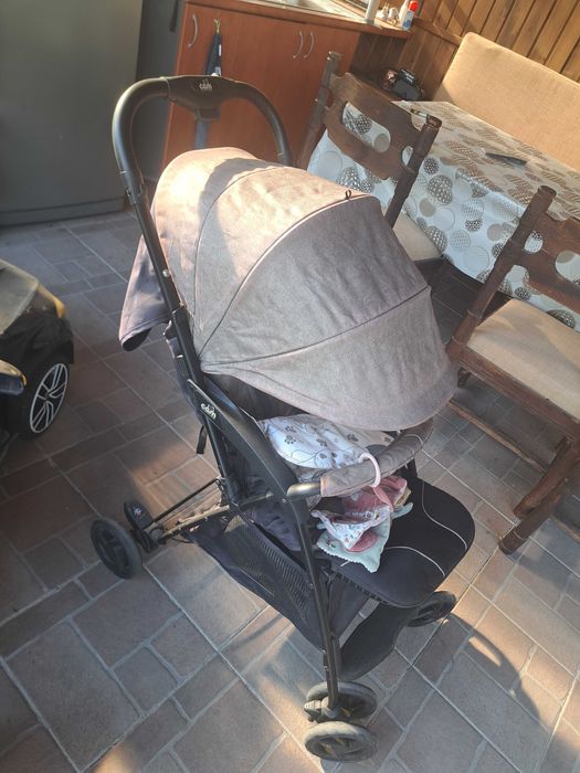 Лятна киличка  Can curvi