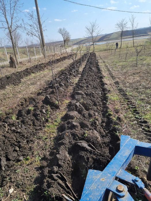 plug 2 brazde sembraz Sibiu u445 Saulia