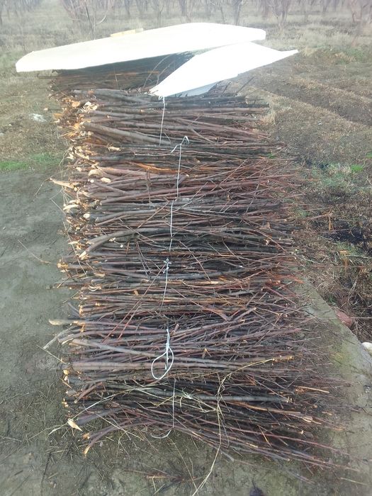 Утин печкага тандирга