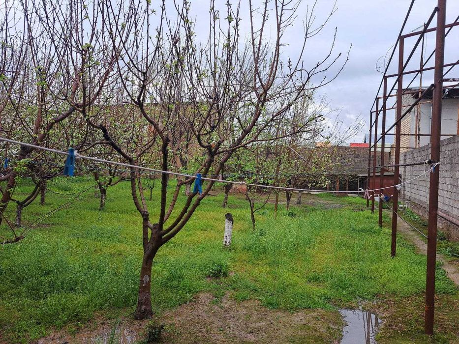 Katta bog'li dacha sotiladi