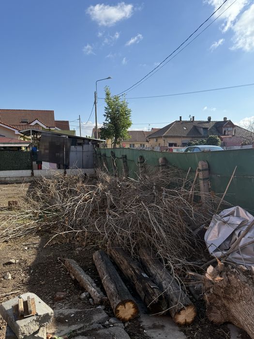 Lemne pentru foc din demolari