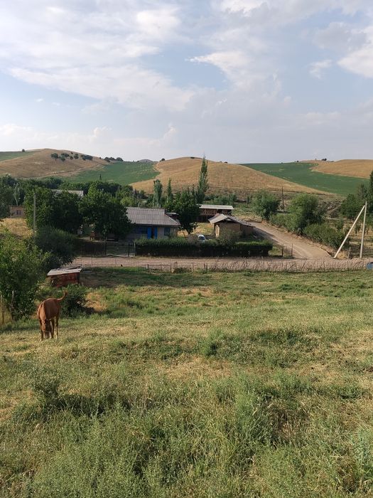 Uy sotiladi 23 sotiq