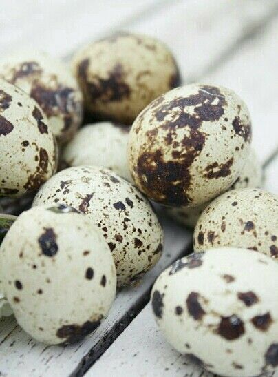 Перепелиное мясо(куропатка)