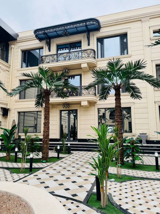 Suniy Eco Palma hizmatlari