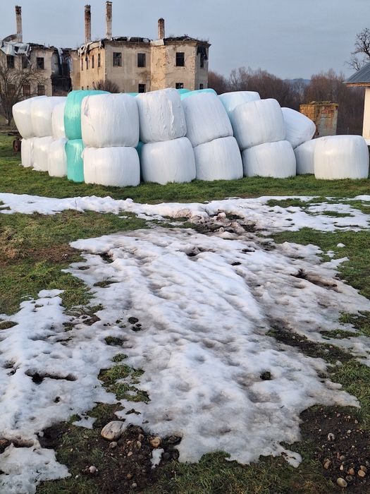 Baloți Lucernă fîn paie de vînzare