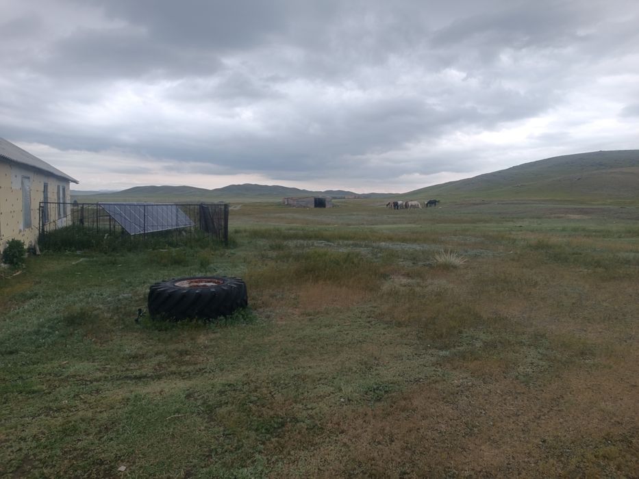 Зимовка, крестьянское хозяйство