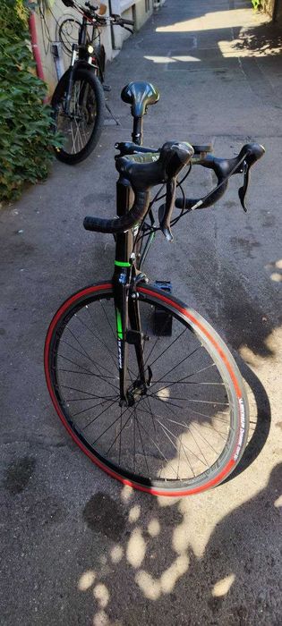 Cursiera Sensea Milano