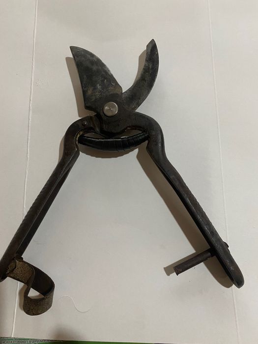 Лозарска ножица Габрово