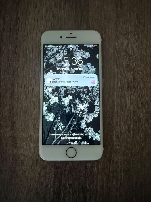iPhone (Apple) 7