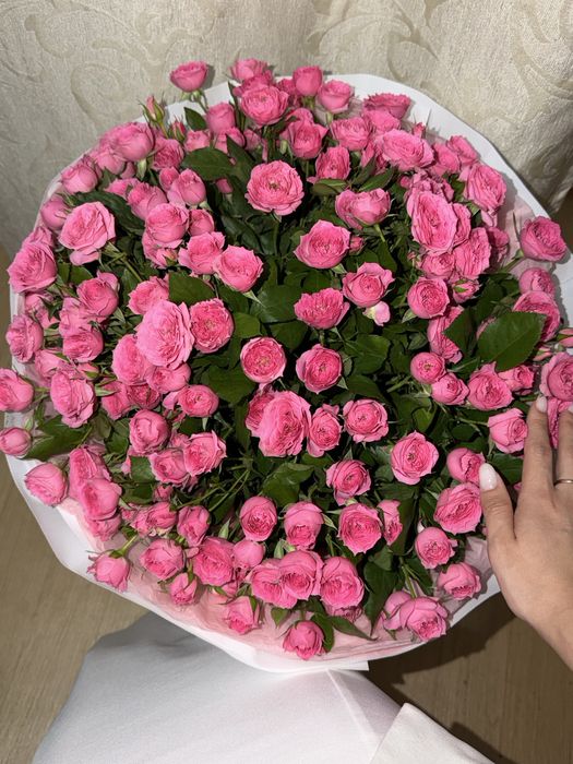 Цветы куставые розы