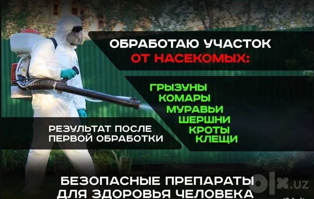Дезинфекция клопов дезинфекция от клопов dezinfeksiya Tashkent klapa