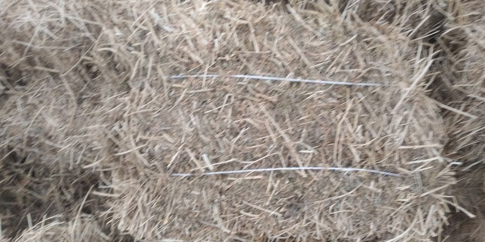 Беда пресс. Маккайи поя. Сотилади