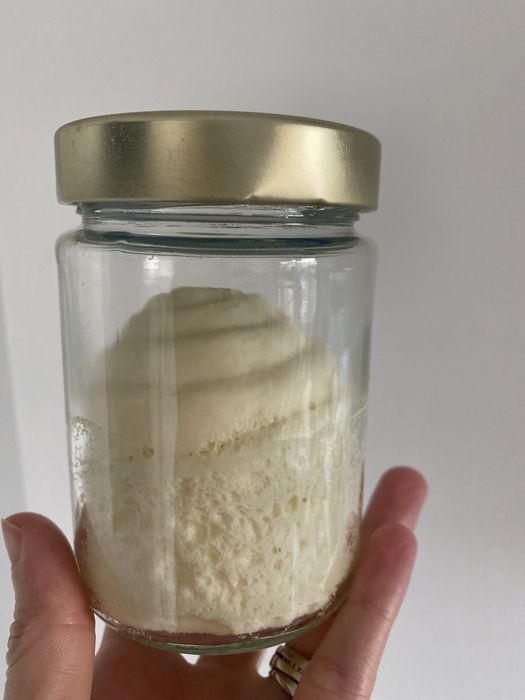 Vand maia naturala Lievito Madre