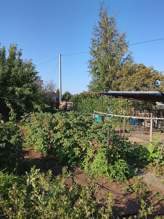 Продам дачу ! Общество Союз