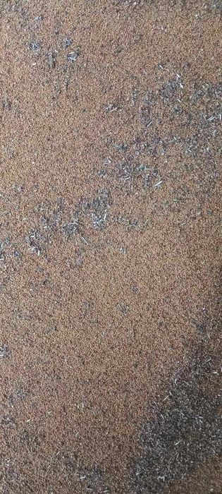 Продавам люцерново семе