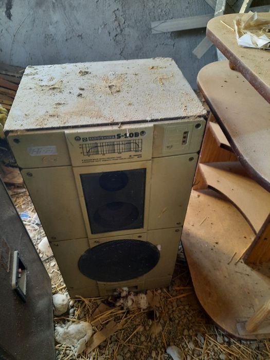 Калопка 2 пар пары 20 мыннан