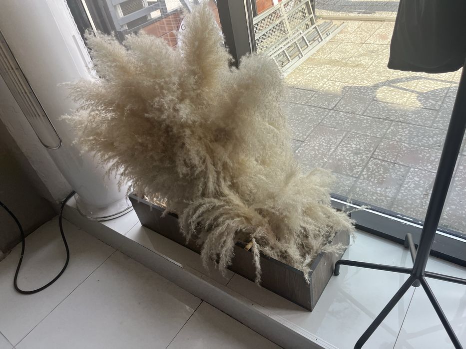 Декоративная пампасная трава в ящике декор для интерьера