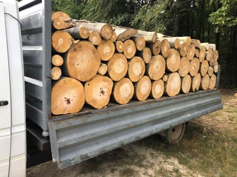 Vând lemne de foc esență tare fag și stejar