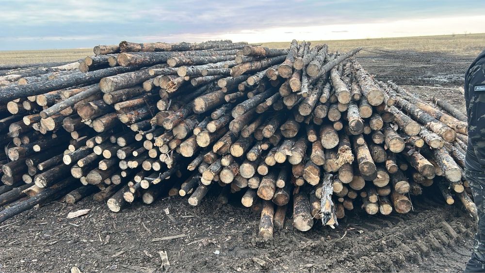 Продам подтаварник ,жерди,столбы