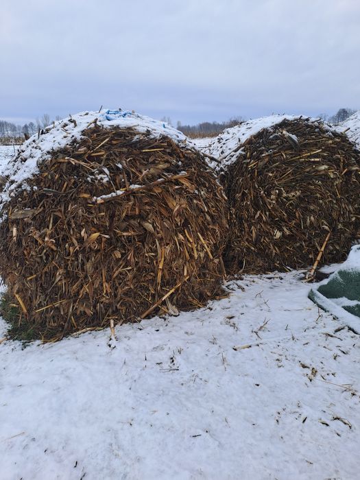Vand baloti rotunzi de huluji(coceni)