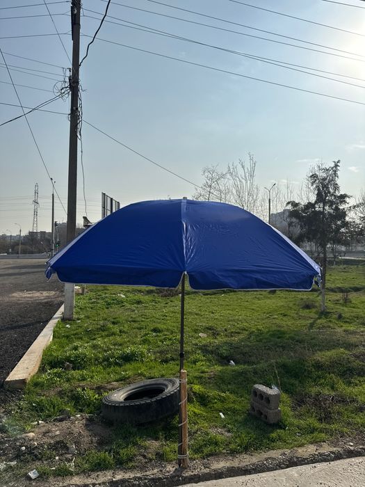 Bir ayoqliy zontiklar