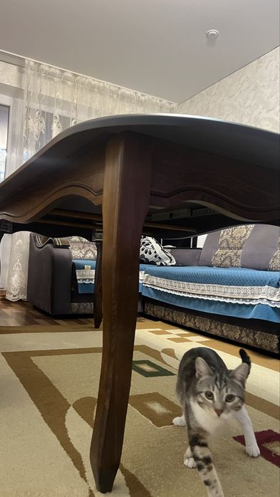 Стол со стульями