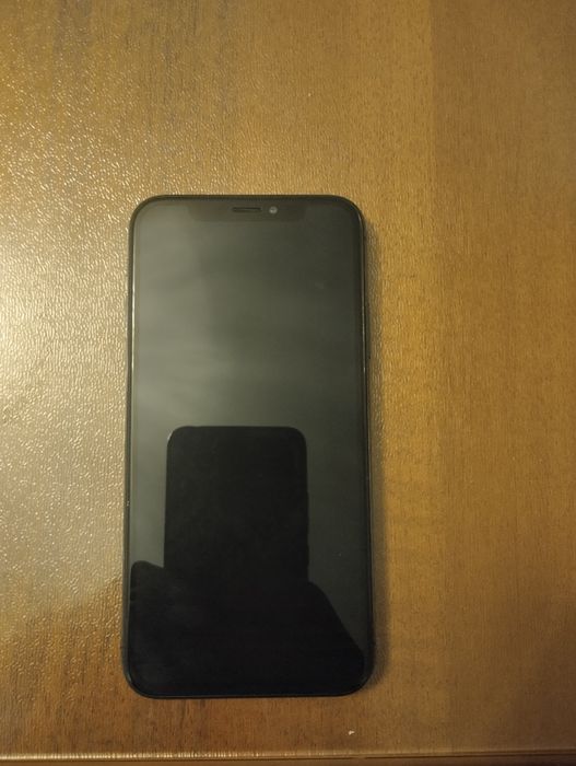 X holati idyal bitta odam ishlatgan