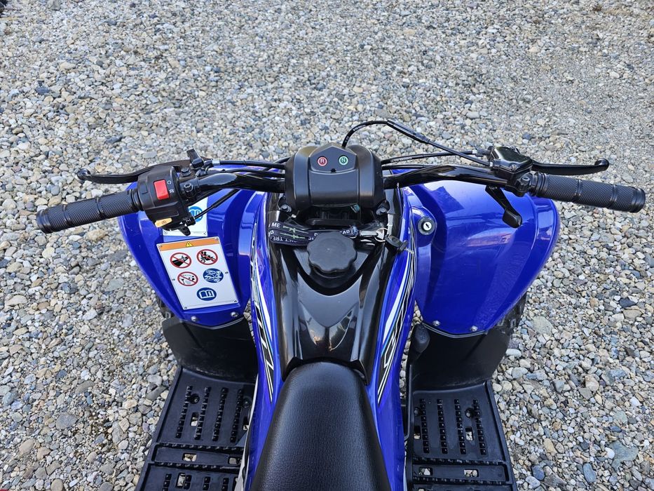 Atv Copii Yamaha Raptor YFM 90