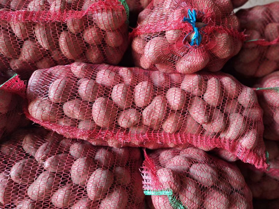 Cartofi consum Esme so Octa