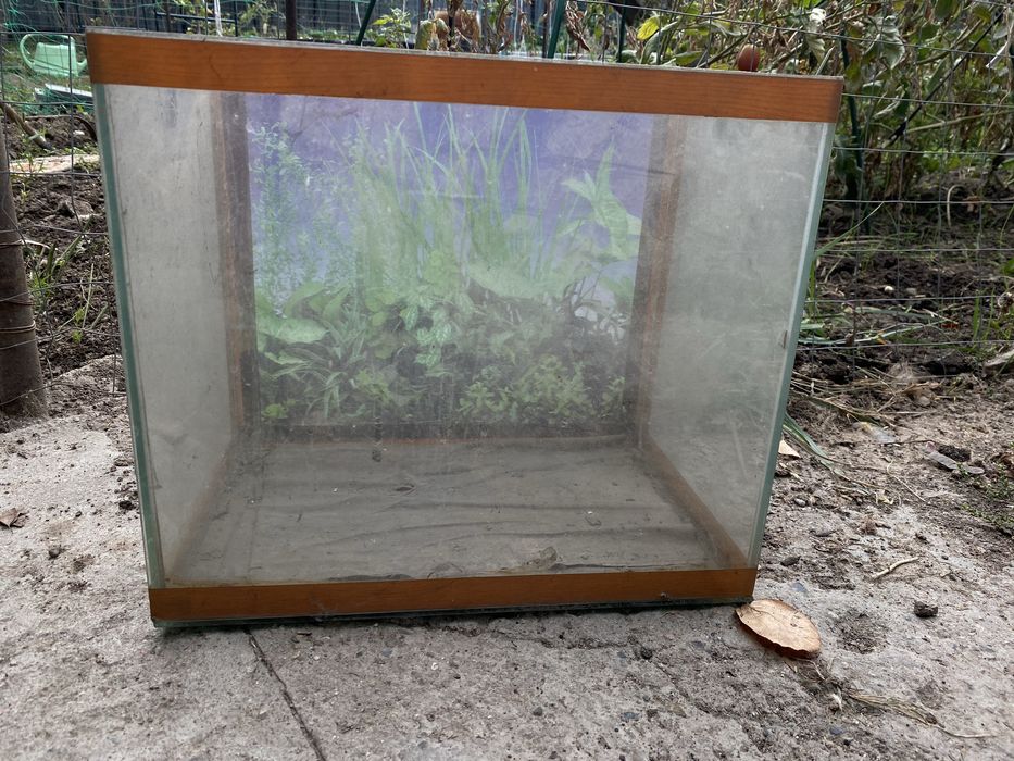 Аквариум для рептилий