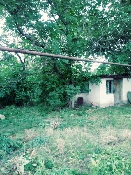 Продам дачу. алматы  алексеевские дачи дорожник - Ansicht 4