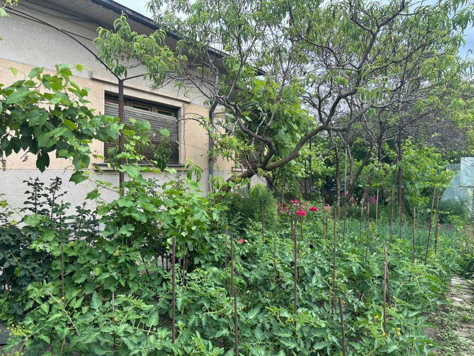 Casa de vanzare Oltenita, Calarasi