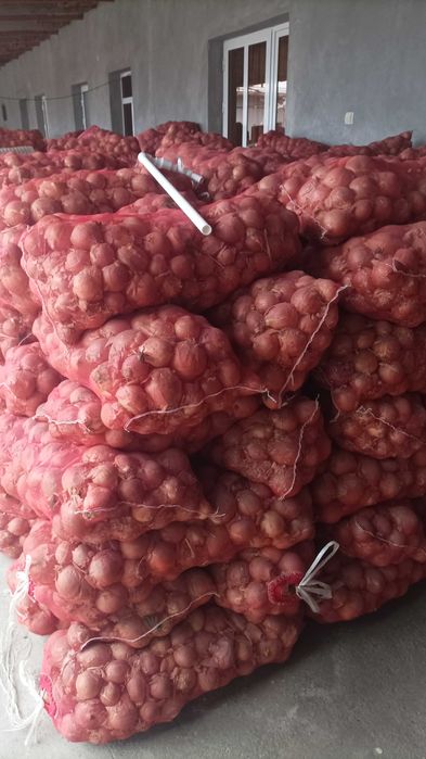 Piyoz sotiladi  Bulungʻurda