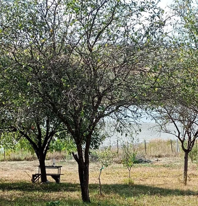 Casă la lac în Câmpenești, cu 800 mp teren